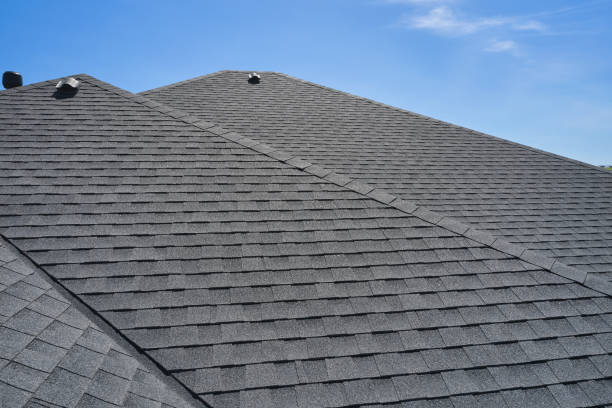 Best Skylight Installation and Repair  in Hampton Manor, NY